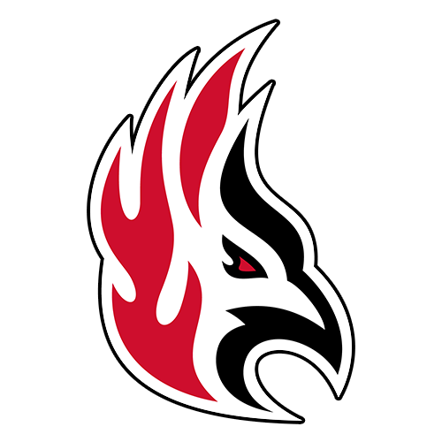 Carthage Firebirds Logo