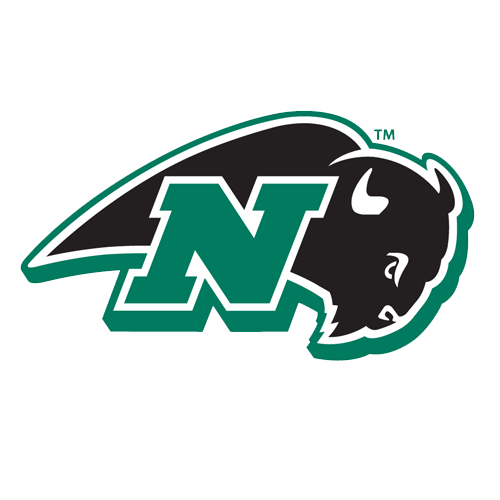 Nichols College Bison Logo