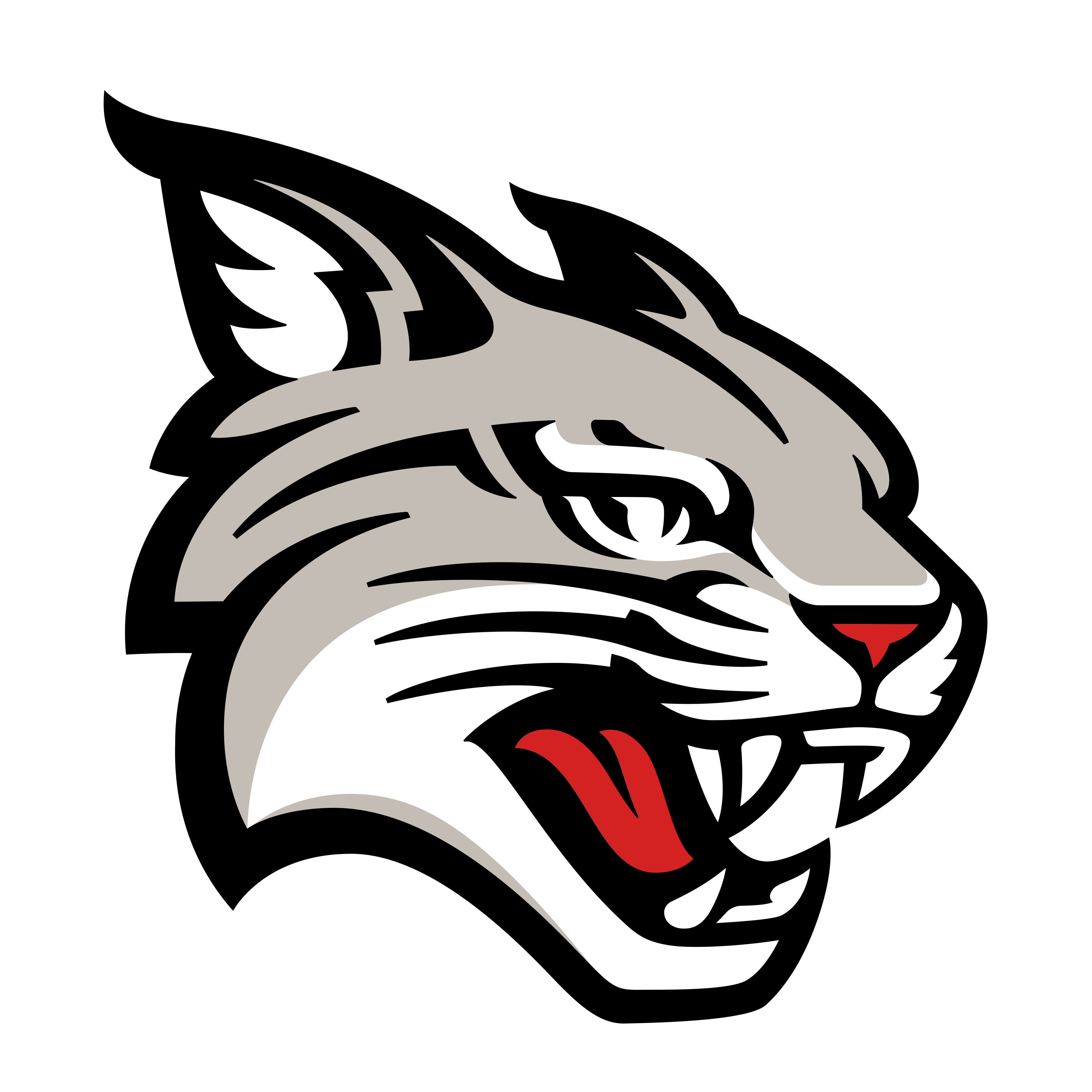 Davidson Wildcats Logo