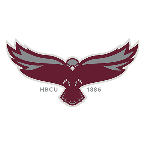 Maryland Eastern Shore Hawks Logo