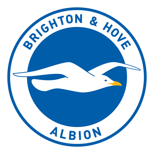 Brighton & Hove Albion Logo