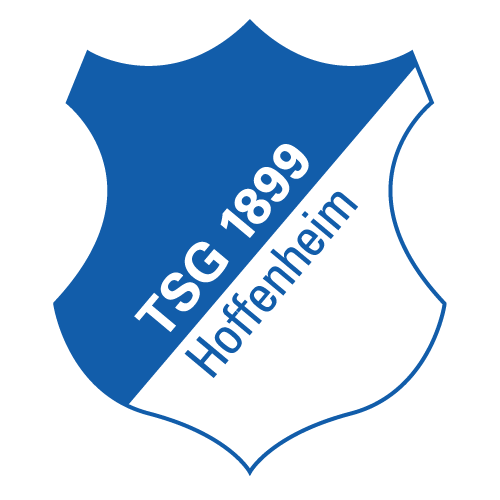 TSG Hoffenheim Logo